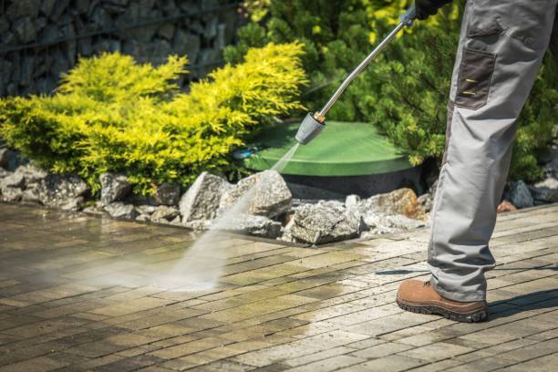 Animal Enclosure Cleaning in East Williston, NY